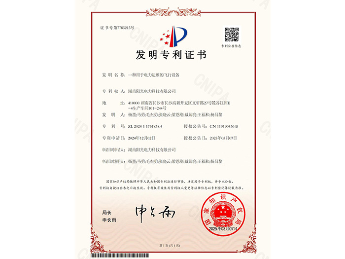 一種用于電力運維的飛行設備